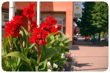 Miljö-hälsa