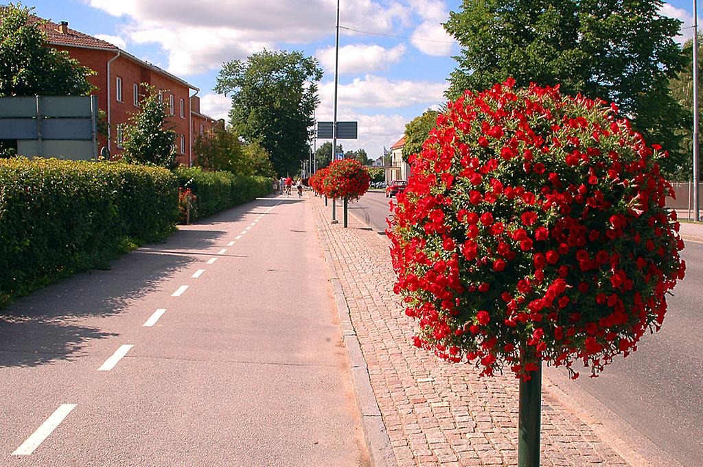 Blomsterarrangemang vid en cykelväg i en tätort.