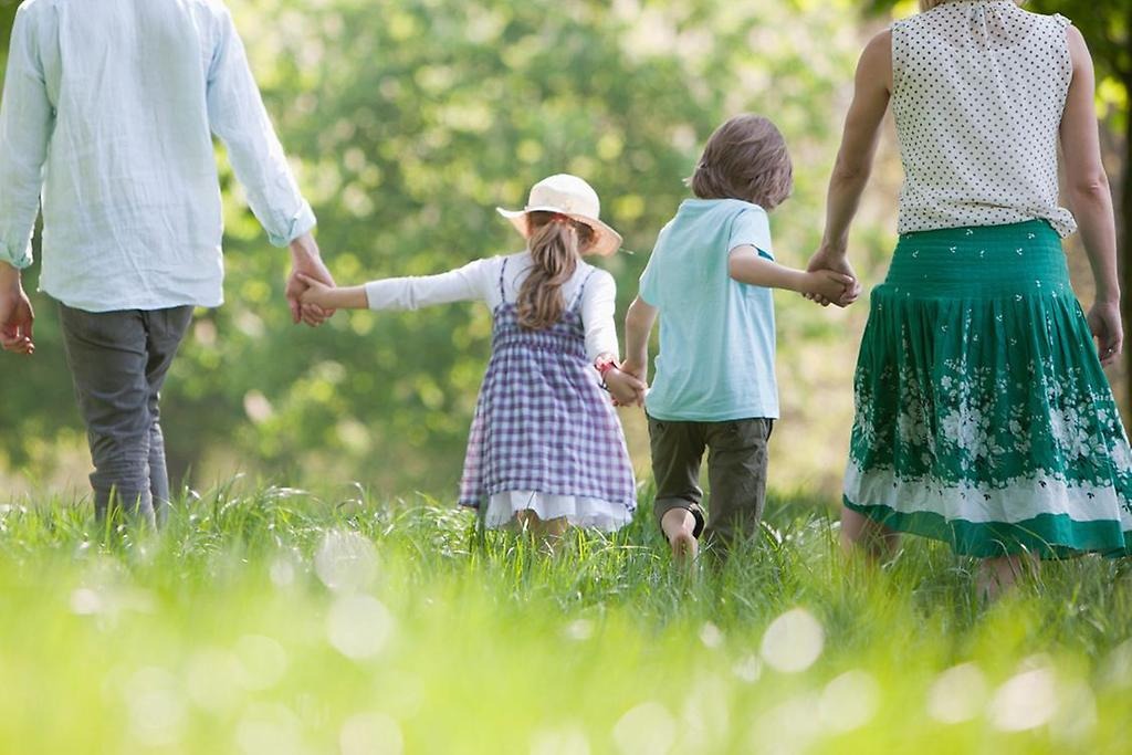 En man, två barn och en kvinna som går på en sommaräng och håller varandra i handen. 