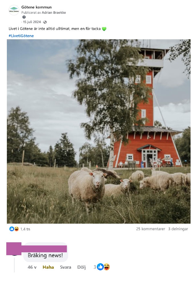 Skärmdump på inlägg från Facebook med får som går och betar framför utsiktstornet med inläggstexten "Livet i Götene är inte alltid ulltimat, men en får tacka".