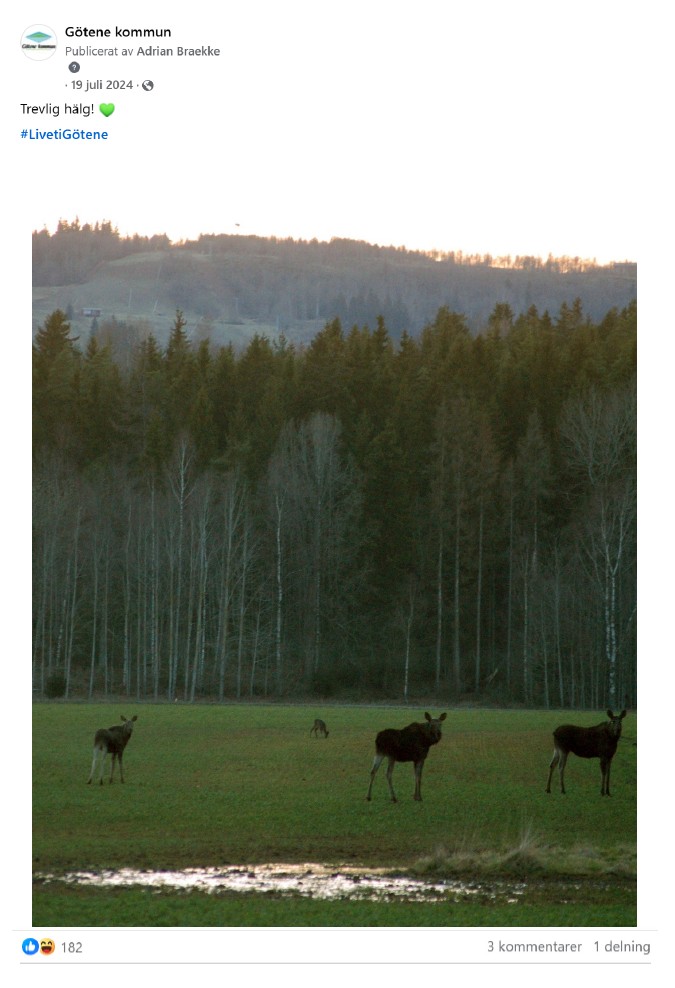 Skärmdump på inlägg från Facebook med bild på älgar som står på en äng, med inläggstexten "Trevlilg hälg!".