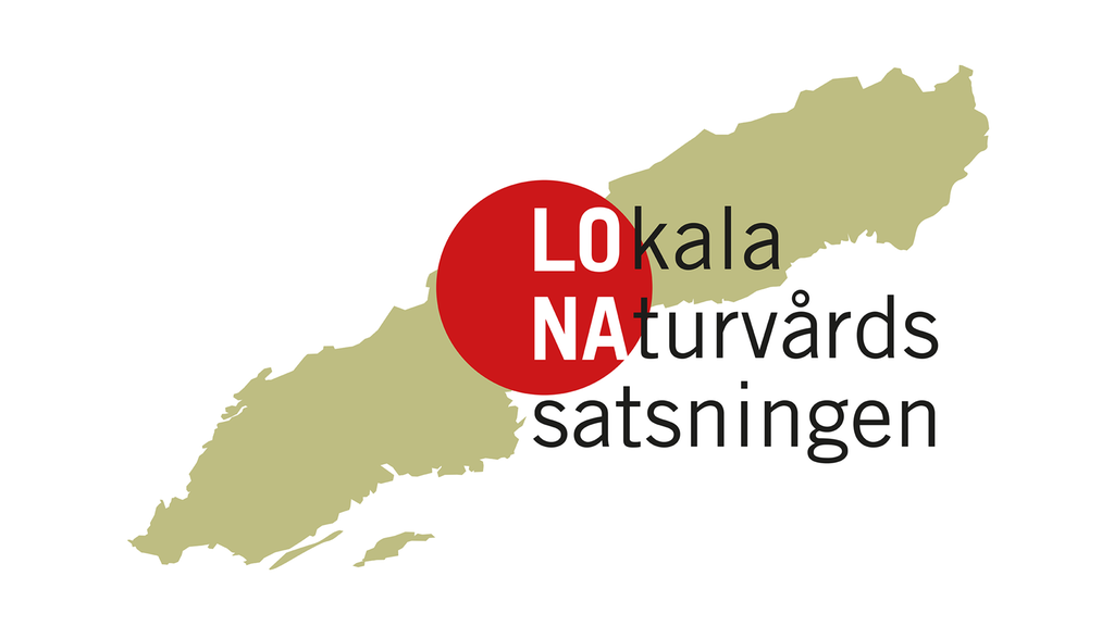 Illustration av Sverige ovanifrån i färgen grön. Text "Lokala Naturvårdssatsningen" står skrivet över bild med text "LONA" i en röd cirkel. 