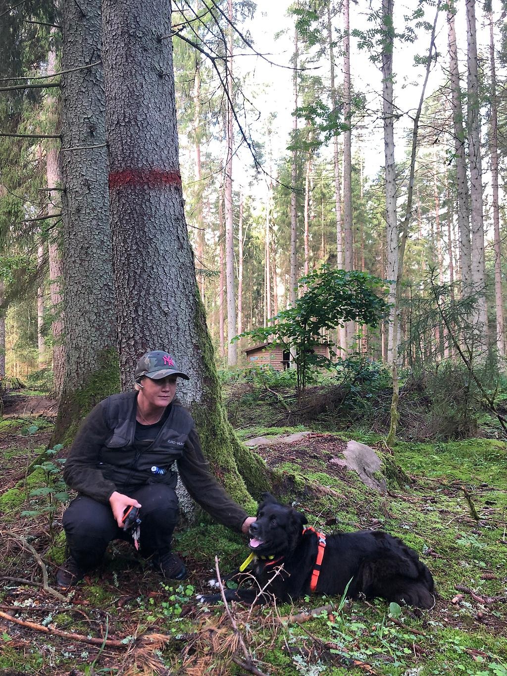 Camilla Lundgren från Baggebo hundcenter och hunden Tara framför ett nymarkerat angripet träd.