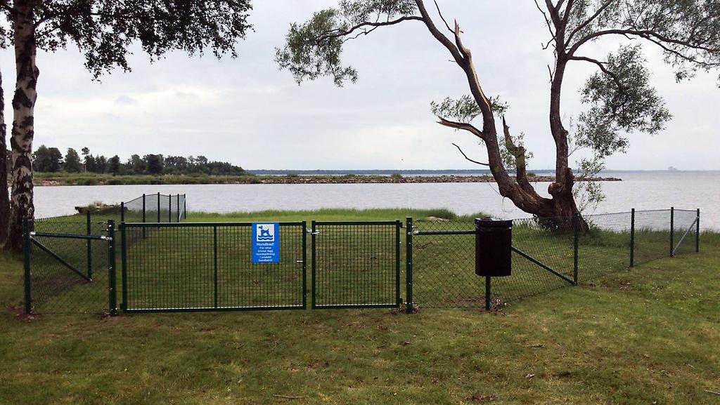 Bild på hundbadet i Källby. Ett inhägnat område.