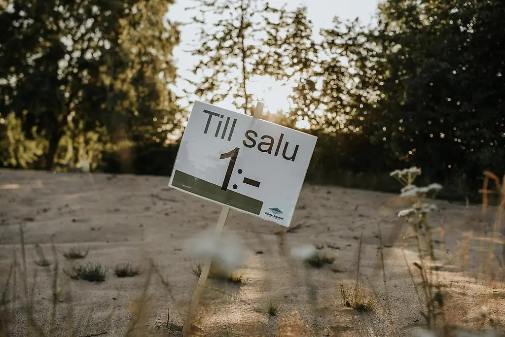 Fotot visar en skylt med texten "Till salu, 1 krona". Skylten är nedstucken i marken som består av sand. I bakgrunden syns lövträd där solen strålar igenom.