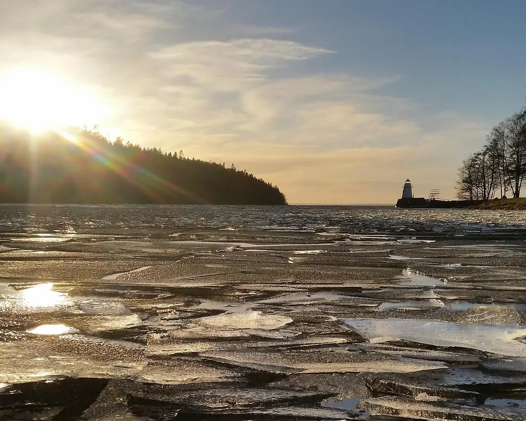 Isflak vid strandkanten
