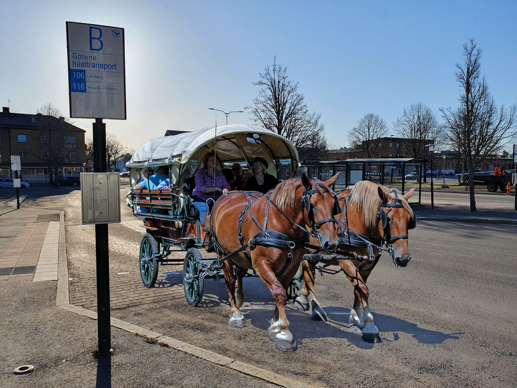 Bruna hästar som drar en vagn med människor från Götene kommuns busstation. 