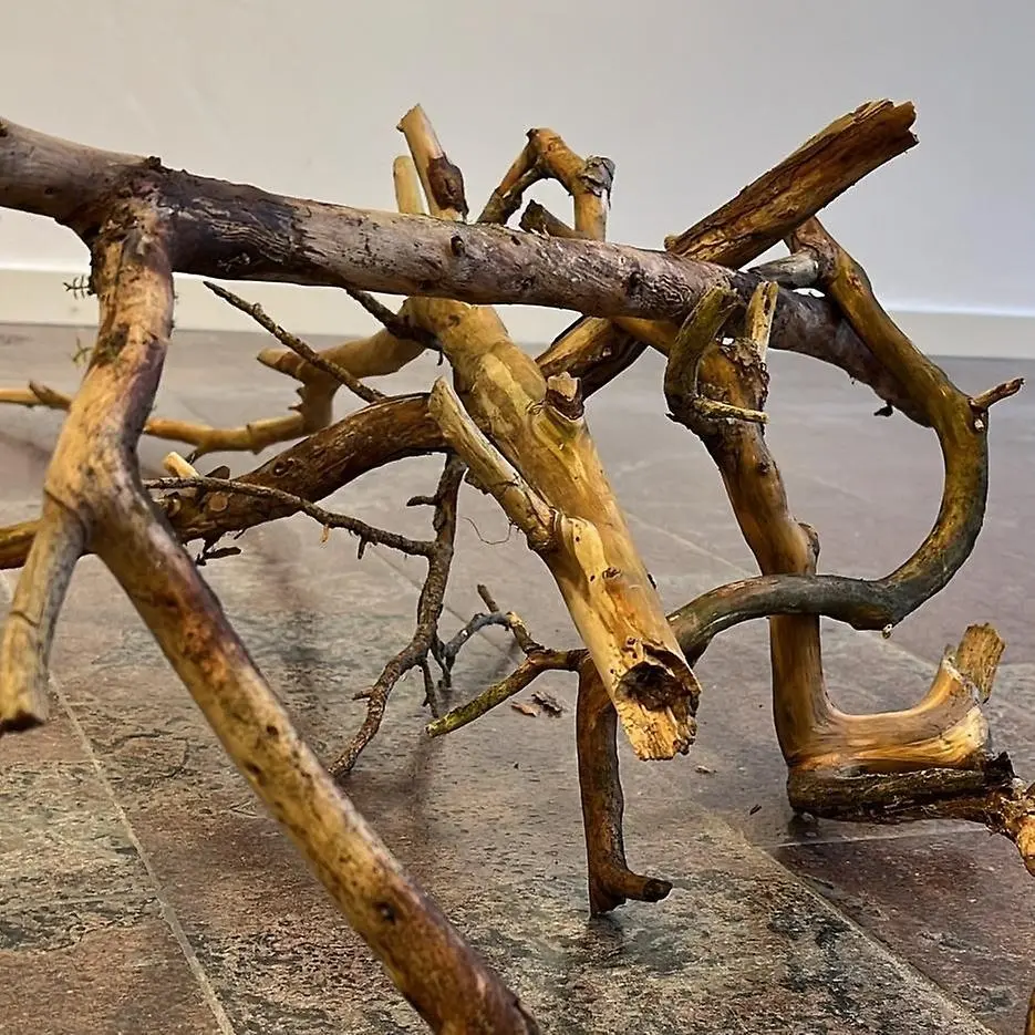 Flera knotiga pinnar och grenar som ligger i en hög på ett stengolv inomhus.