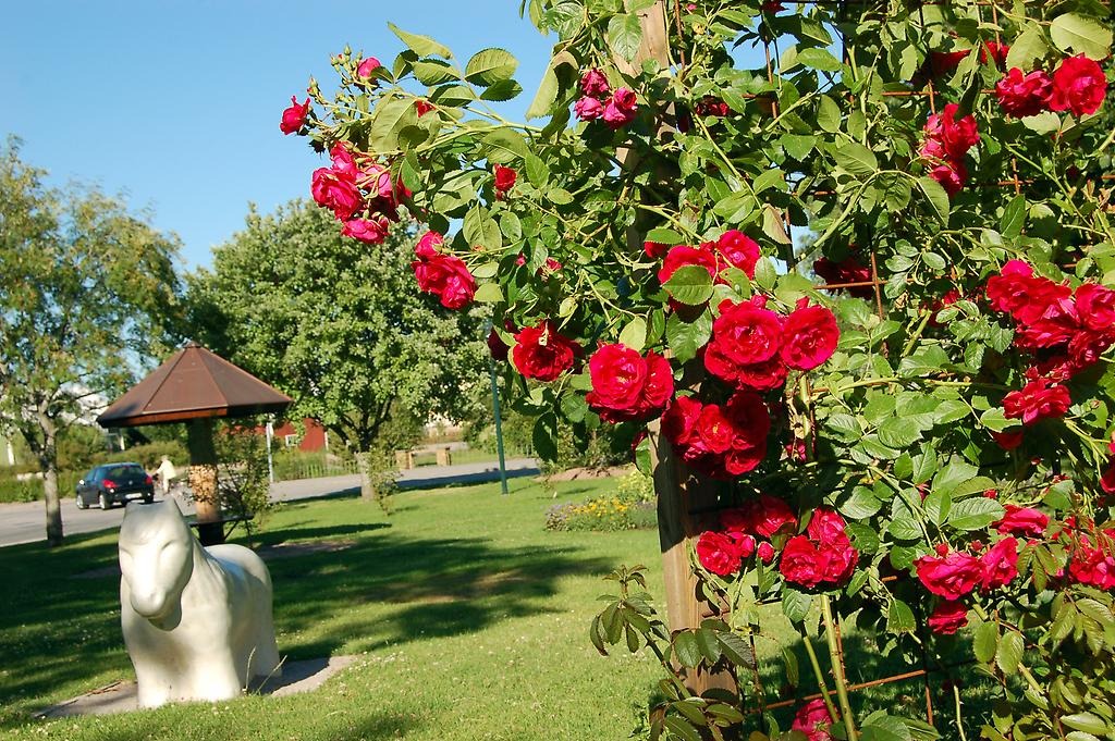 Enliten park med träd, röda blommor och en ponny-staty