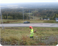 Röjning av sly på Kinnekulle