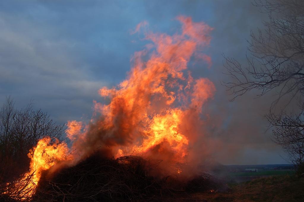 En valborgsbrasa i skymningen.