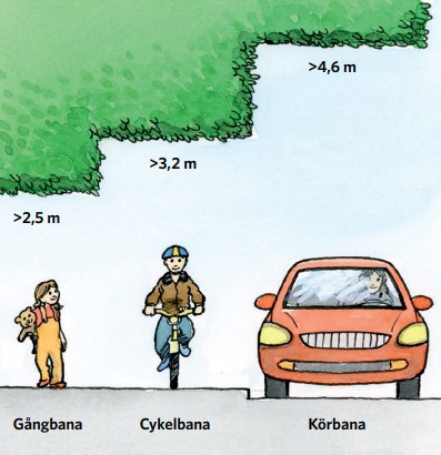 Bilden visar växtlighet över gång-, cykel- och körbana