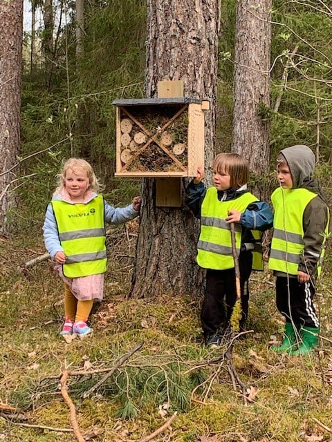 Tre förskolebarn står bredvid ett egenbyggd insektshotell som är uppsatt på en trädstam. 
