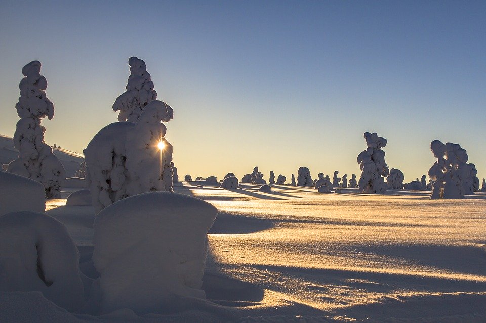 Nästan hela bilden är täckt med vit snö, 2 granar som är täckt med snö och en sol som försöker att kika fram bakom granen.
