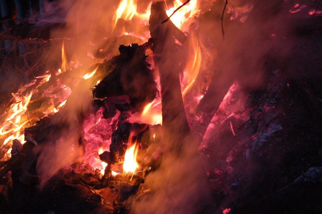 Närbild på eld.