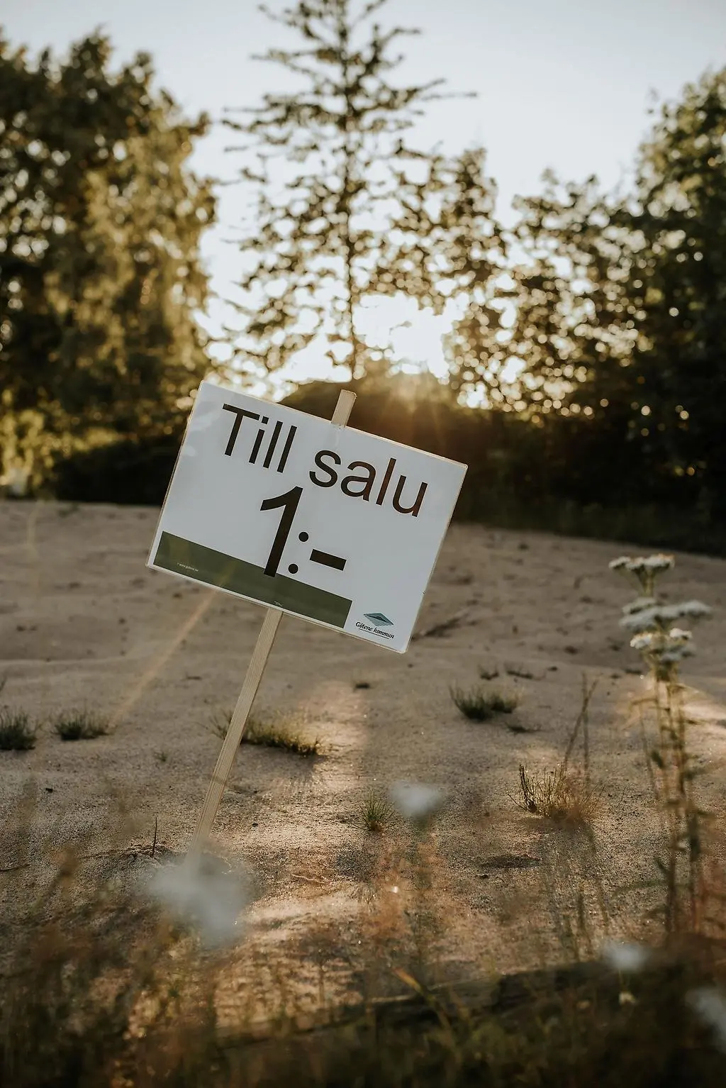 En skylt med texten "Till salu 1 krona" på som står på en sandig yta med träd i bakgrunden.