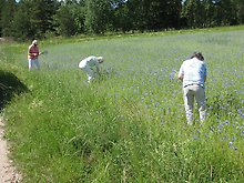Klicka på bilden för att förstora.