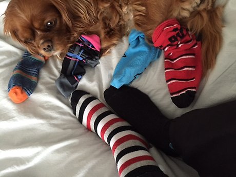 Alla får vara med! Annorlunda är bra! Annorlunda är roligt! Mvh Josefine på medborgarkontoret/fritid-ungdom