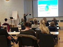 Klicka på bilden för att förstora.