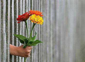 En hand håller en blombukett genom ett staket.