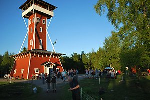 Blommande fält med Kinnekulle i bakgrunden