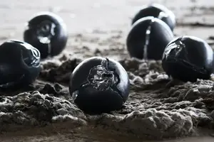 Foto av en tavla med svarta runda former.