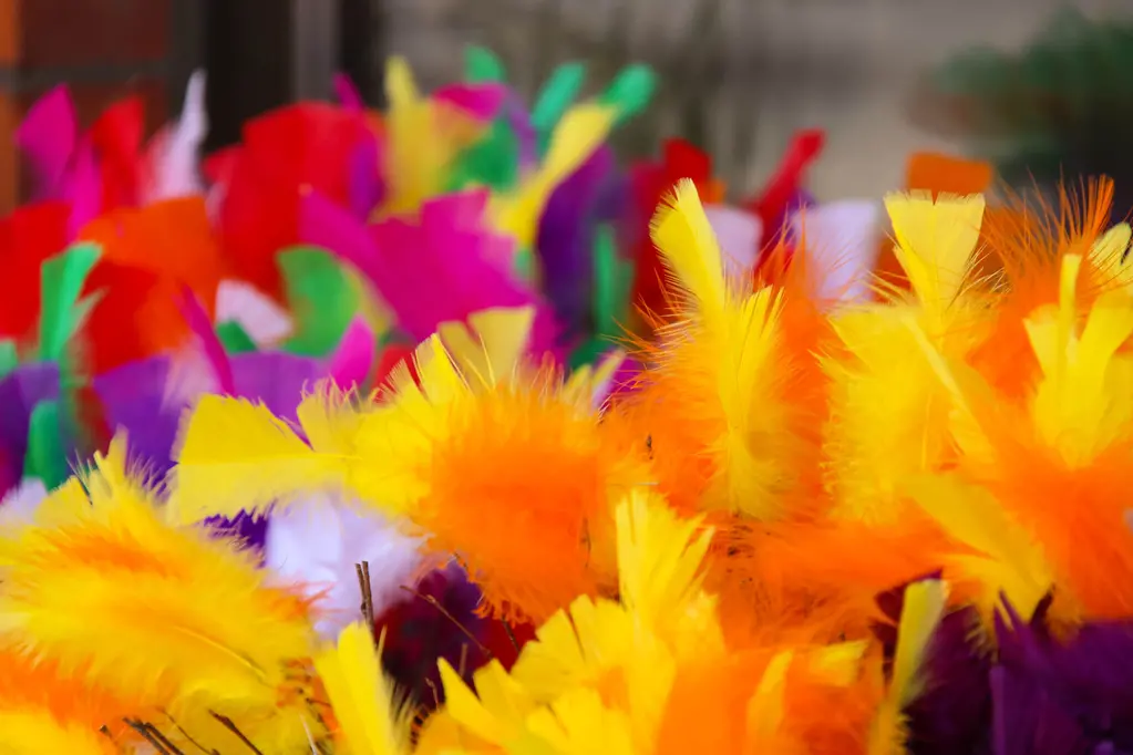 Påskris med fjädrar i olika glada färger.