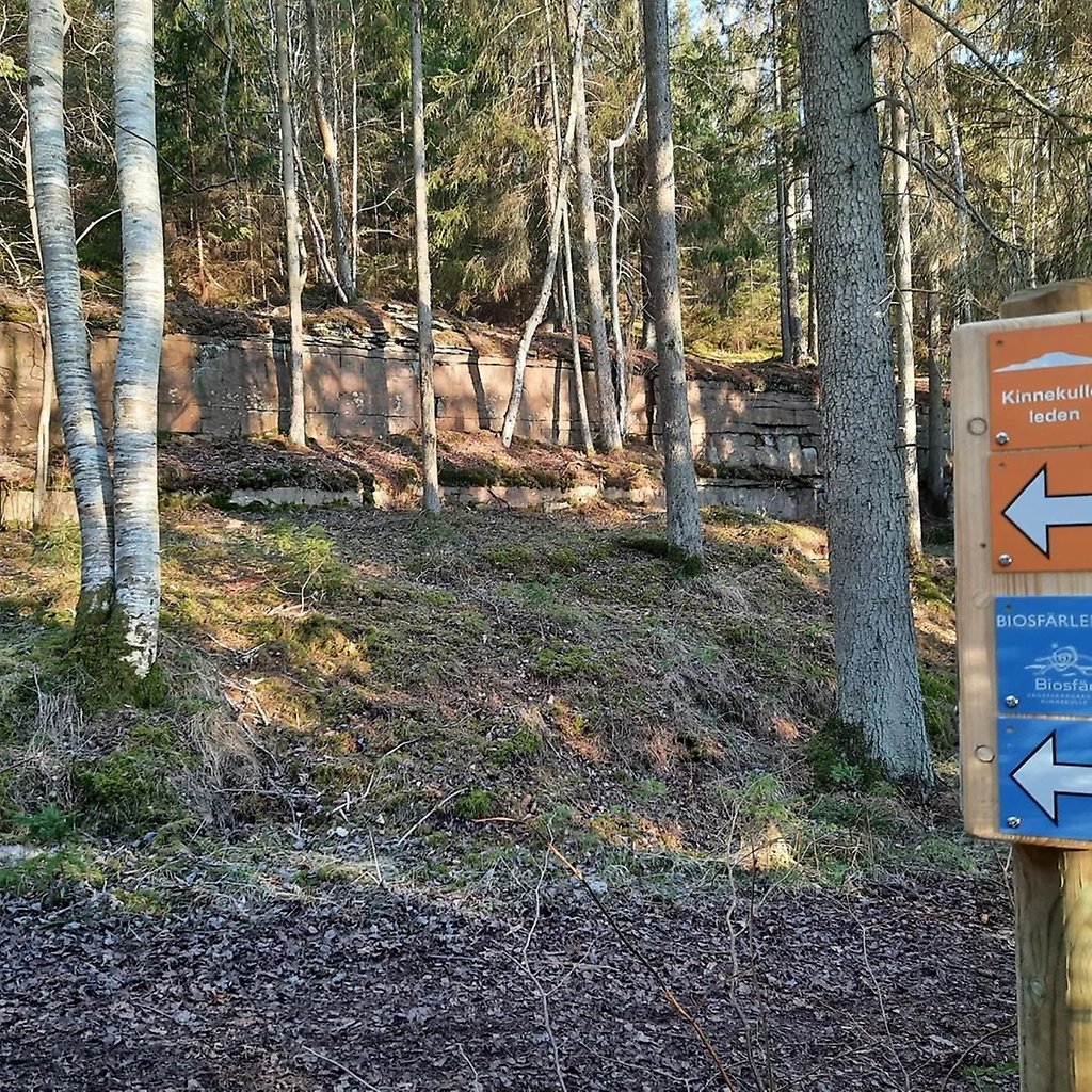 Skogsbild, till höger står en stolpe med markering för Kinnekulleleden och Biosfärleden.