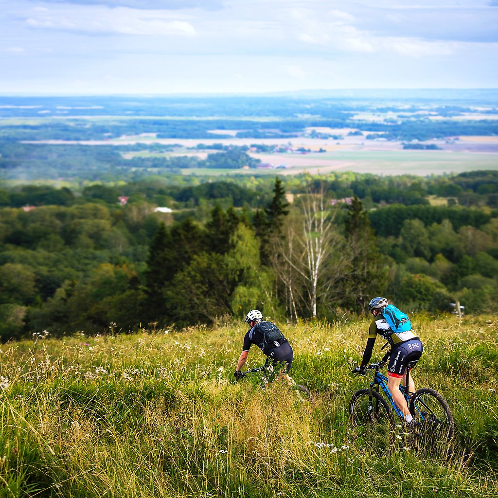 Två personer cyklar på en kulle med skog i bakgrunden.
