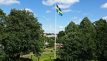 Svensk flagga i toppen på en flaggstång omgiven av träd.