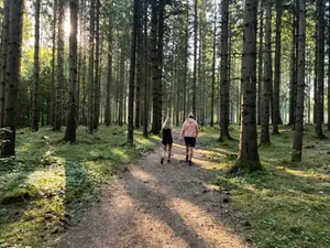 Två personer som går på en skogsväg. 