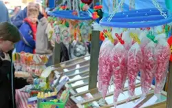 Klicka på bilden för att förstora.